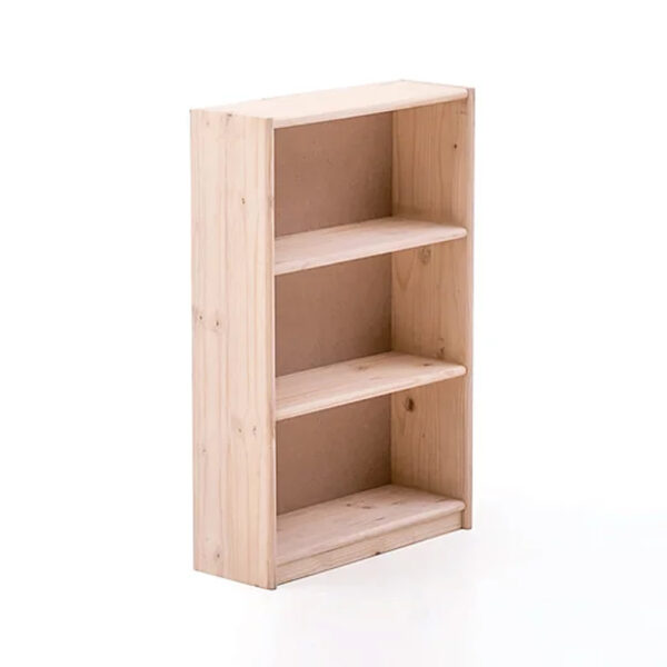 Matilda Bookshelf